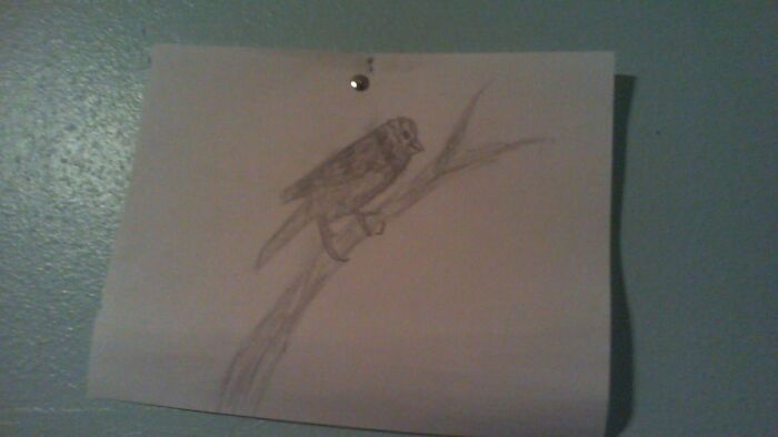 A Drawing I Did Today Hanging On The Wall :)