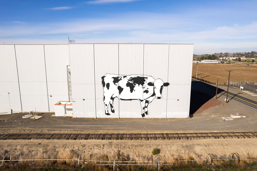 We Painted The Biggest Cow In The World We Painted The Biggest Cow In The World