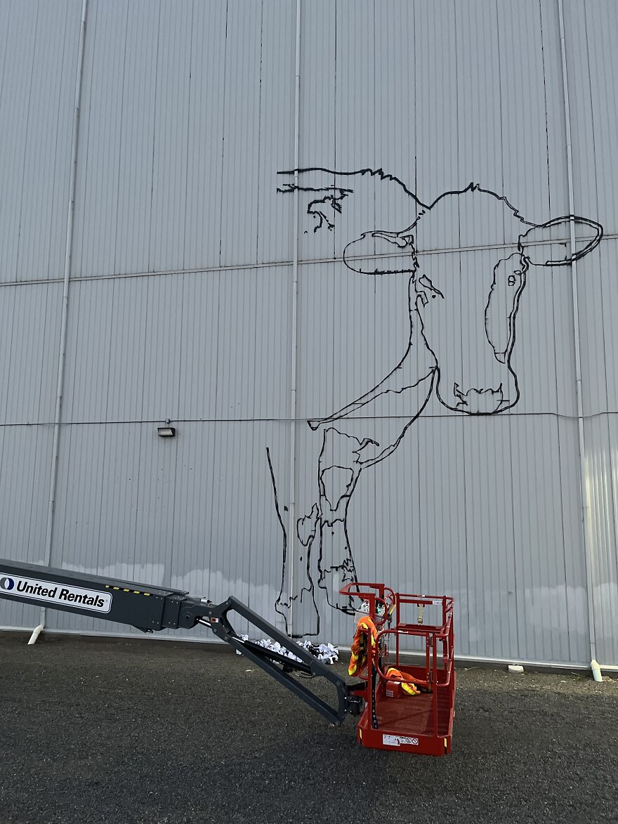 We Painted The Biggest Cow In The World We Painted The Biggest Cow In The World