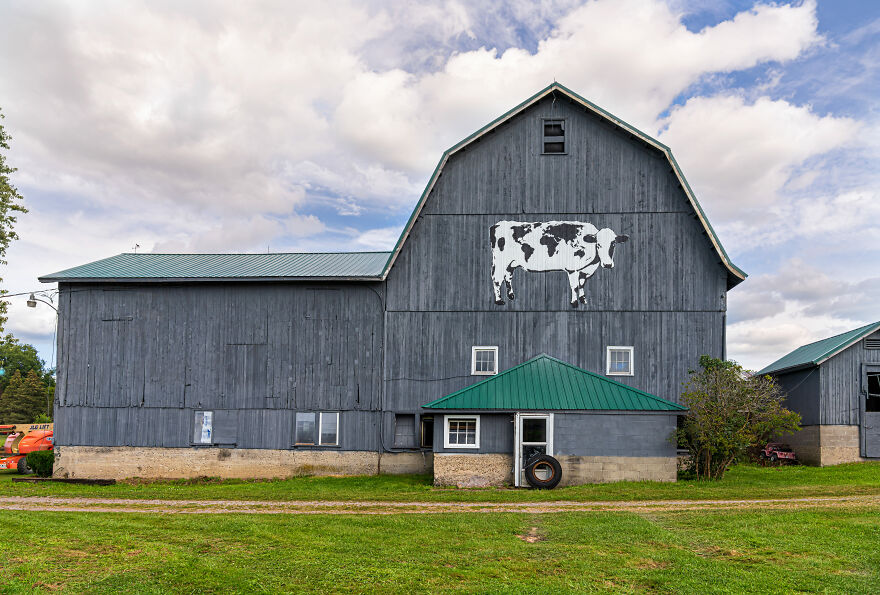 We Painted The Biggest Cow In The World We Painted The Biggest Cow In The World