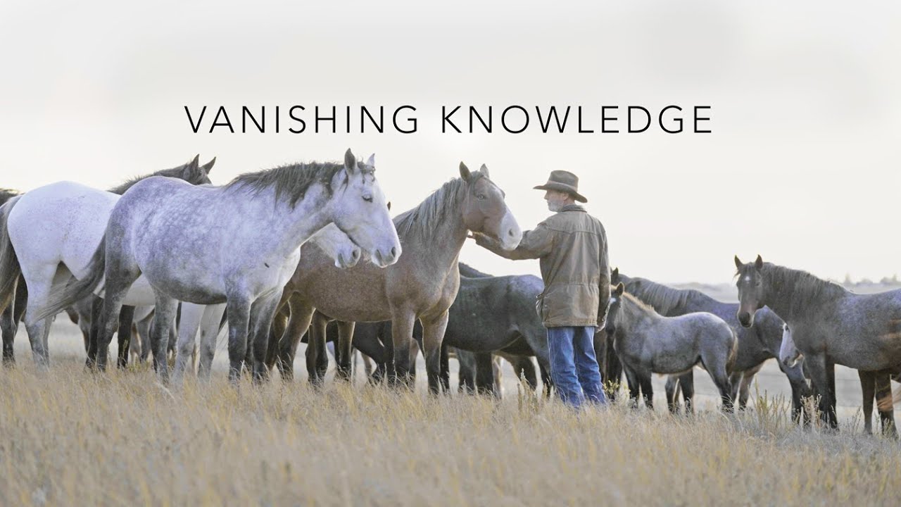 Can A Film Save 300 Lives?