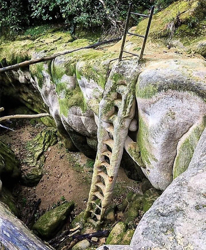 Petrified Ladder In France