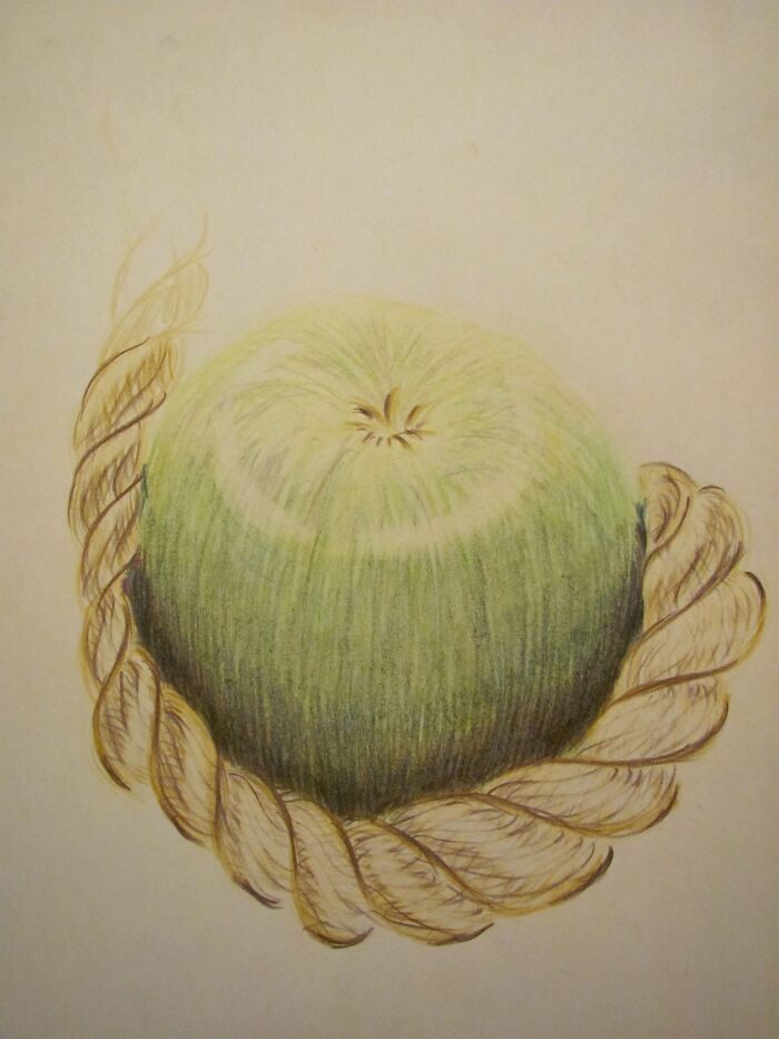 Apple And Rope; Colored Pencils