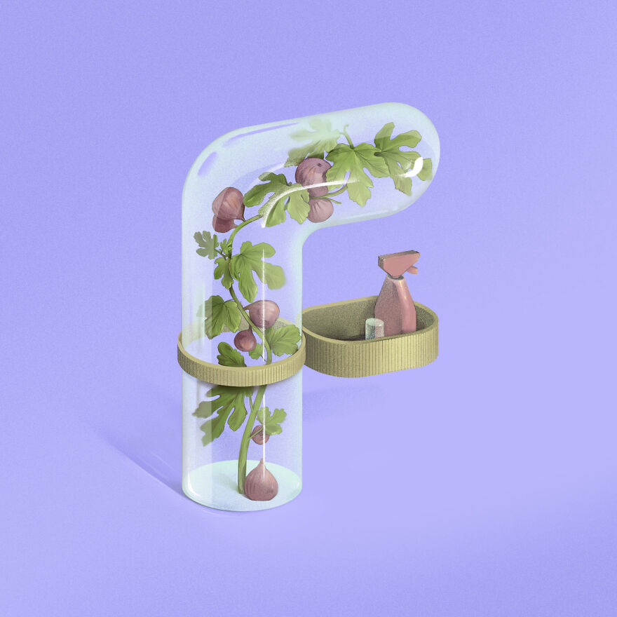 F Is For Ficus Carica