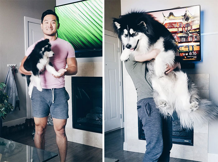 Small Floof To Big Floof In Just 9 Months!