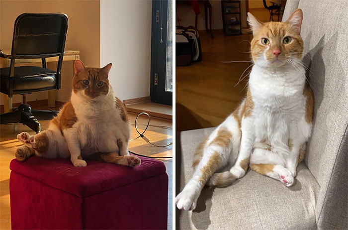 Phoebe’s Weight Loss Journey Is Going Well