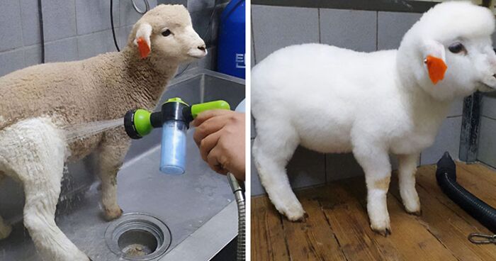 40 Fotos increíblemente reconfortantes del antes y el después publicadas en internet