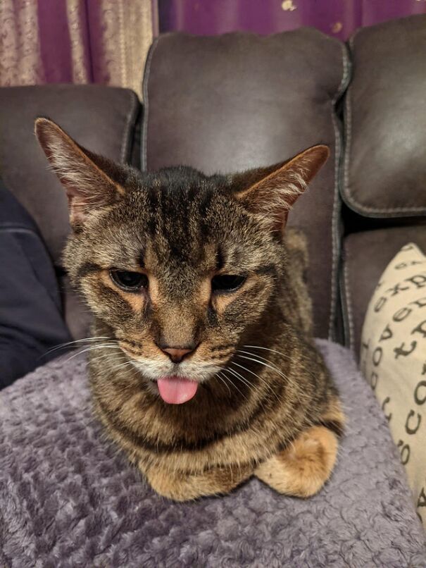 15 Years Of Bleps With This Dude