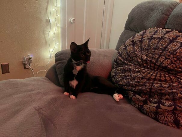 First Ever Blep By Yuki!