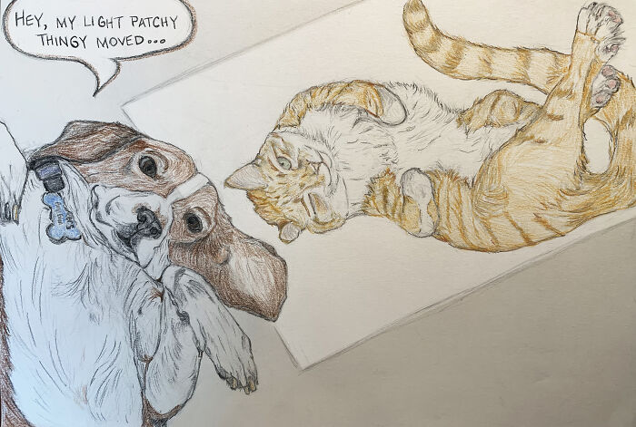 Bonks (Beagle) And Mangs (Tabby Cat)