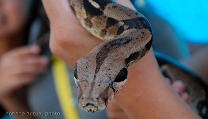 Pumpkin Farm Kicks Out Karen Who Brought A Snake To Its Territory, She Threatens To Go To The Press, Gets Shut Down By The Owner