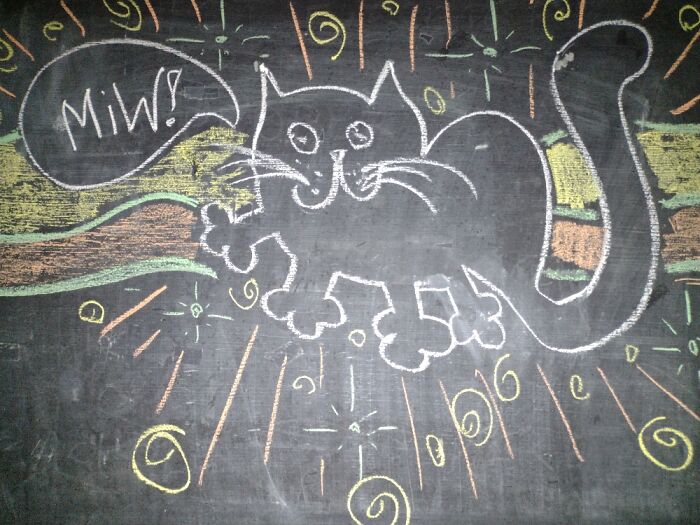 A Chalk Drawing Of A Kitty In Support Of All Animals.