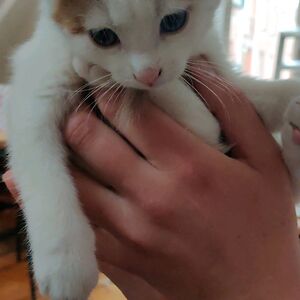 kaylinvanbalen avatar