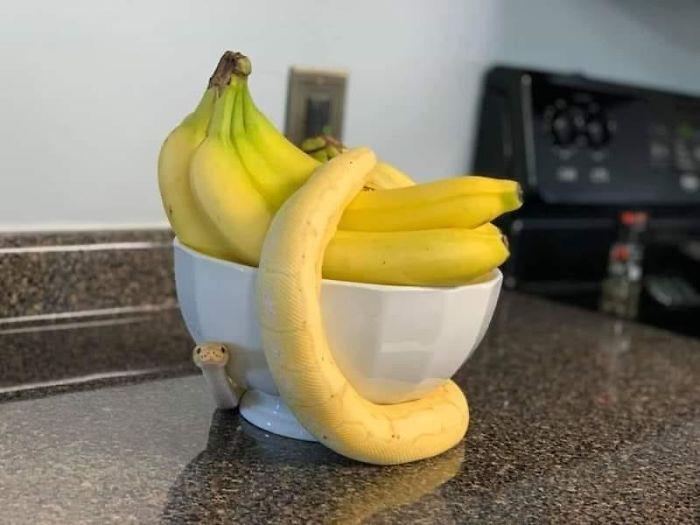 Esa no es una banana