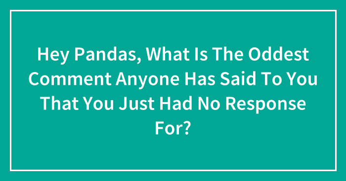 Hey Pandas, What Is The Oddest Comment Anyone Has Said To You That You Just Had No Response For? (Closed)