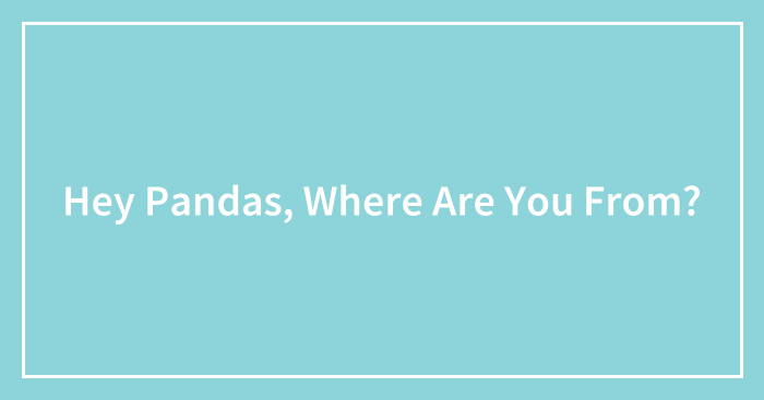 Hey Pandas, Where Are You From? (Closed)