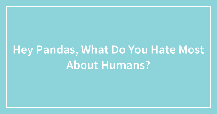 Hey Pandas, What Do You Hate Most About Humans? (Closed)
