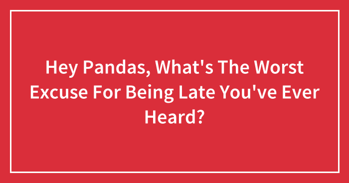 Hey Pandas, What’s The Worst Excuse For Being Late You’ve Ever Heard? (Closed)