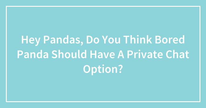 Hey Pandas, Do You Think Bored Panda Should Have A Private Chat Option? (Closed)