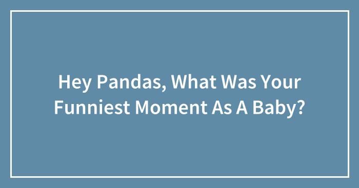 Hey Pandas, What Was Your Funniest Moment As A Baby? (Closed)
