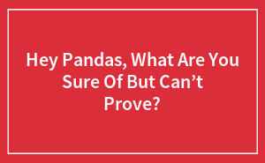 Hey Pandas, What Are You Sure Of But Can’t Prove?