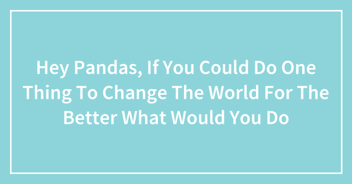 Hey Pandas, If You Could Do One Thing To Change The World For The Better What Would You Do (Closed)