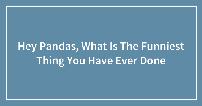 Hey Pandas, What Is The Funniest Thing You Have Ever Done (Closed)