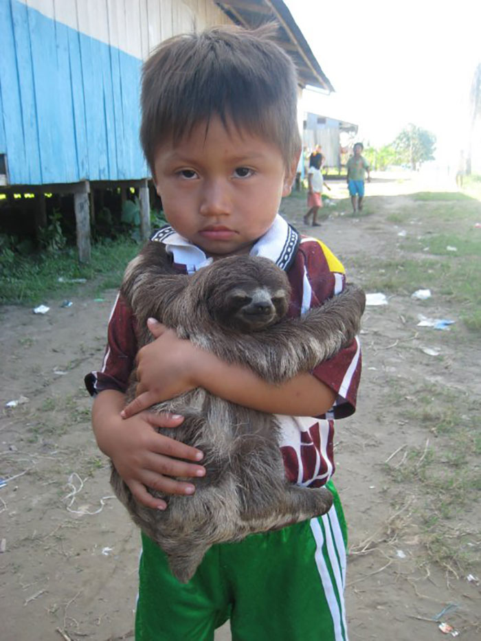 Niño y su perezoso en el Amazonas