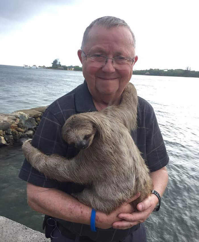 My Father In Law Holding A Sloth