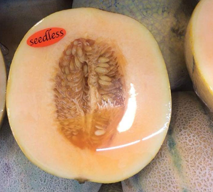 A Seedless Melon
