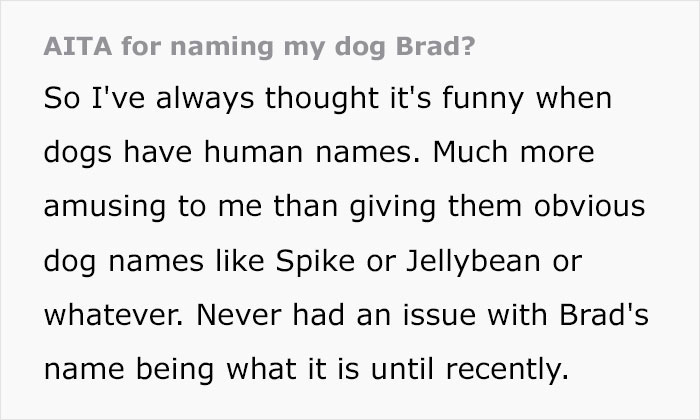 Person Gives Their Dog A Human Name, Turns Out His Sister’s Boyfriend Is Named The Same And Family Drama Ensues Person Gives Their Dog A Human Name, Turns Out His Sister’s Boyfriend Is Named The Same And Family Drama Ensues