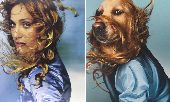 This Dog Recreates Madonna’s Iconic Pics And Some Could Say They’re Even Better Than The Originals (18 Pics)