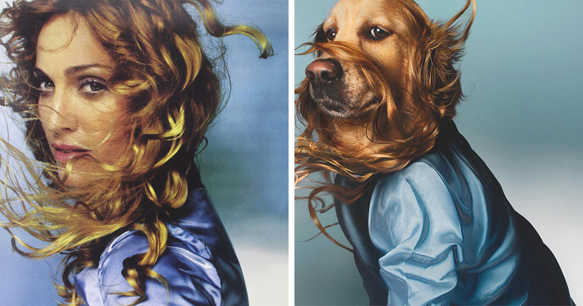 This Dog Recreates Madonna's Iconic Pics And Some Could Say They're Even  Better Than The Originals (18 Pics) | Bored Panda