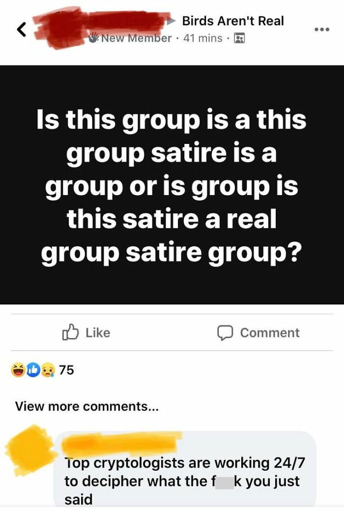 Is This A Group Satire Group Real?