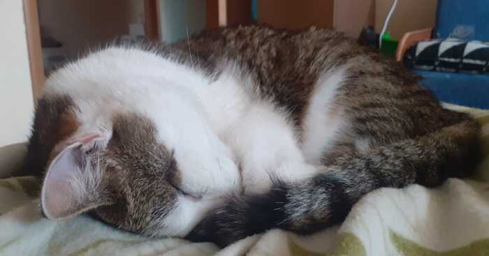 Hey Pandas, Post The Funniest Pic You Ever Took (Closed)