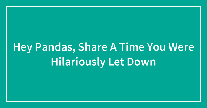 Hey Pandas, Share A Time You Were Hilariously Let Down (Closed)