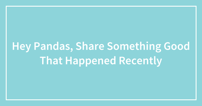 Hey Pandas, Share Something Good That Happened Recently (Closed)