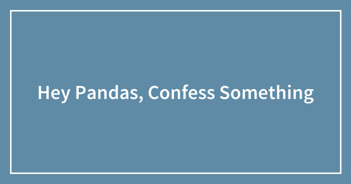 Hey Pandas, Confess Something (Closed)