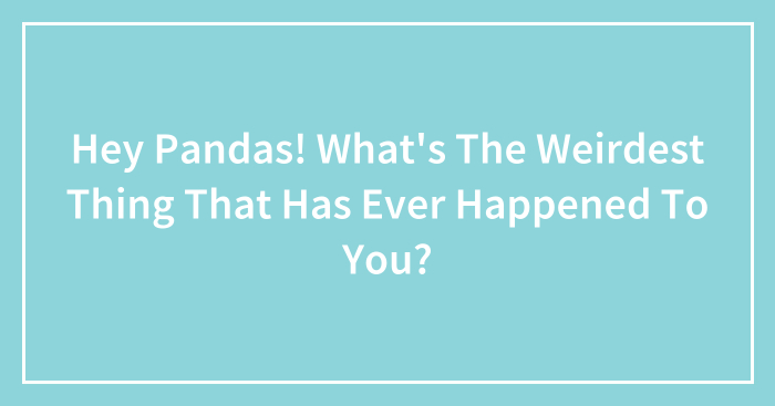 Hey Pandas! What’s The Weirdest Thing That Has Ever Happened To You?