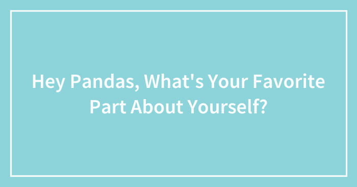 Hey Pandas, What’s Your Favorite Part About Yourself? (Closed)