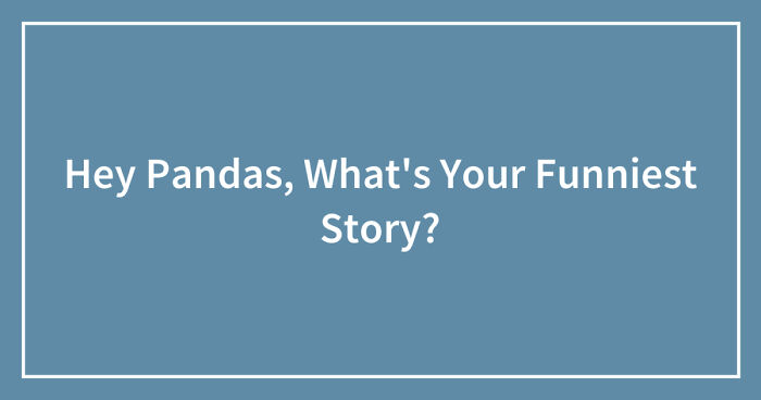 Hey Pandas, What’s Your Funniest Story? (Closed)