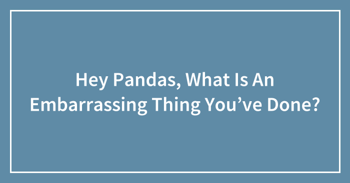 Hey Pandas, What Is An Embarrassing Thing You’ve Done?