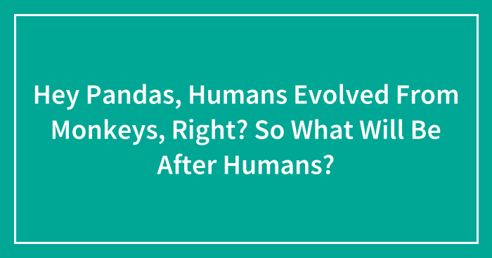Hey Pandas, Humans Evolved From Monkeys, Right? So What Will Be After Humans? (Closed)