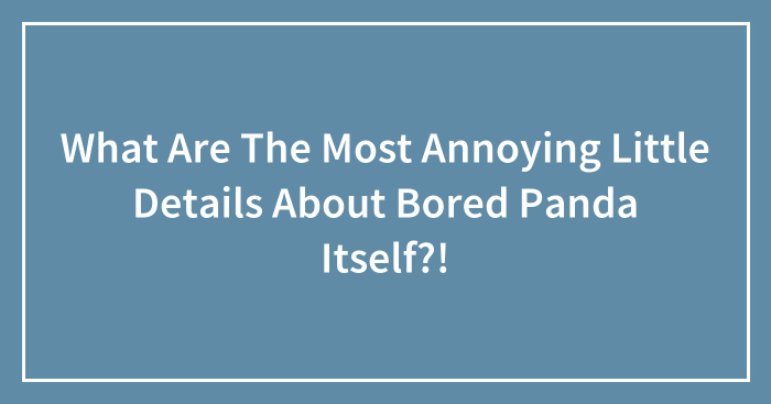 What Are The Most Annoying Little Details About Bored Panda Itself?!