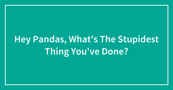 Hey Pandas, What’s The Stupidest Thing You’ve Done? (Closed)