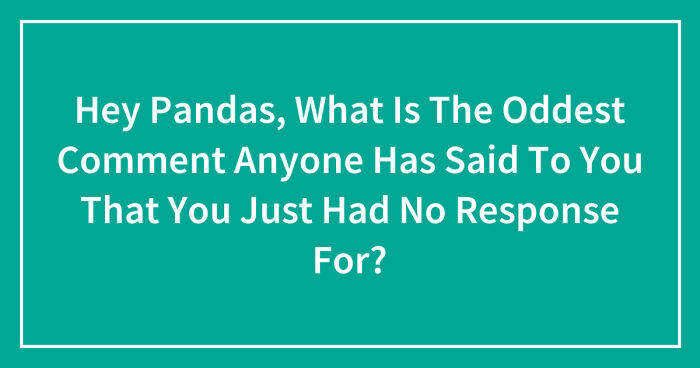 Hey Pandas, What Is The Oddest Comment Anyone Has Said To You That You Just Had No Response For? (Closed)