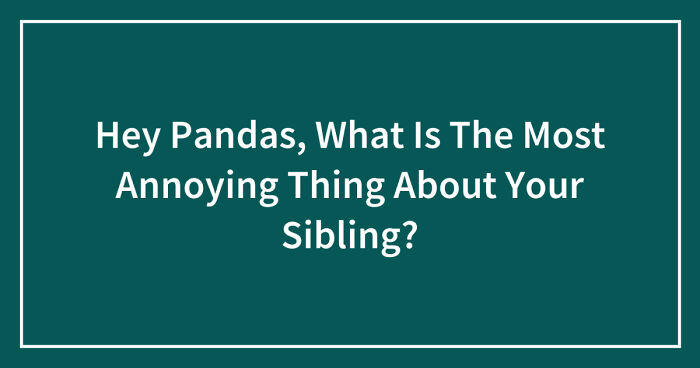 Hey Pandas, What Is The Most Annoying Thing About Your Sibling? (Closed)