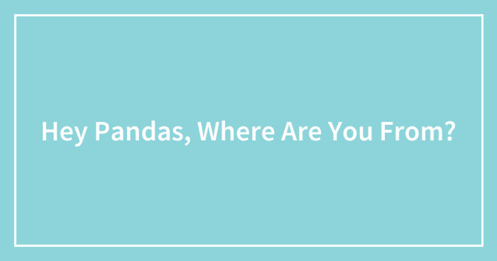 Hey Pandas, Where Are You From? (Closed)