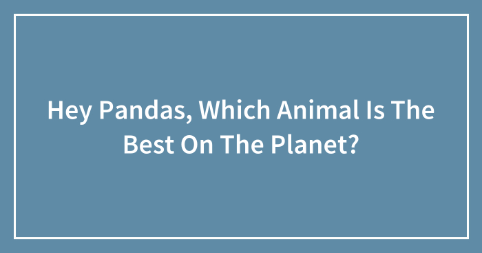 Hey Pandas, Which Animal Is The Best On The Planet? (Closed)