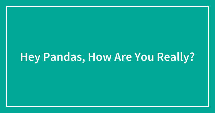 Hey Pandas, How Are You Really? (Closed)